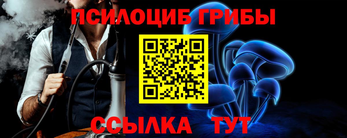 Псилоцибиновые грибы мицелий  Вход с VPN  Светлоград 
